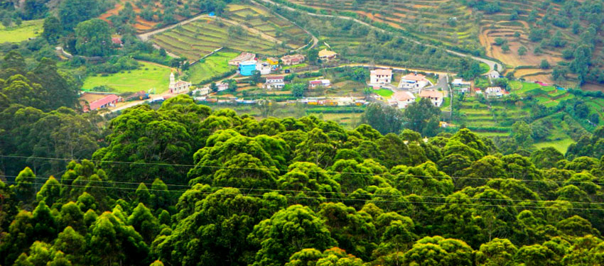 kodaikanal-forest-tours